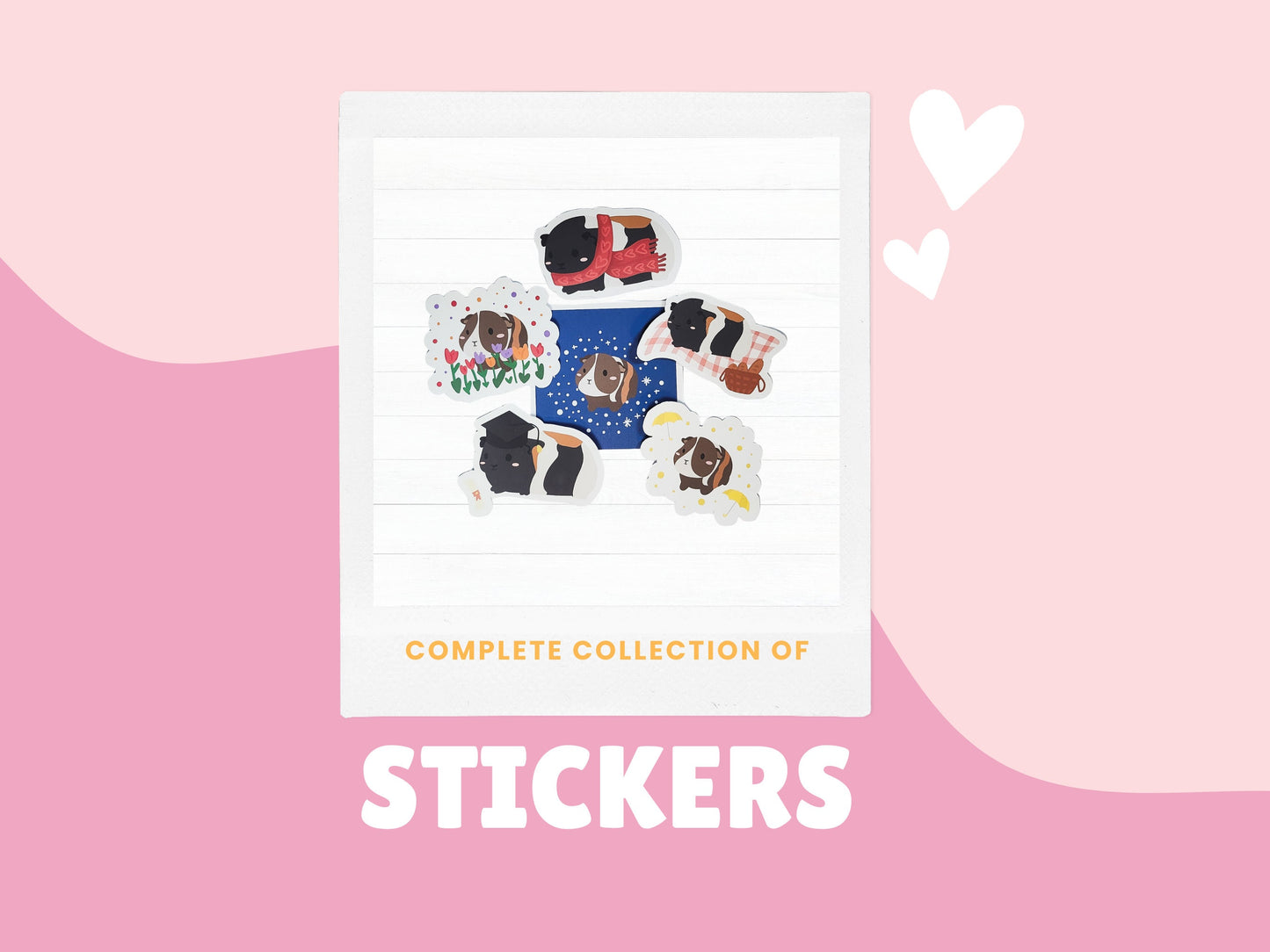 Guinea Pig Sticker Complete Set- valentine's sticker, winter sticker, guinea pig lovers, graduation sticker, guinea pig love sticker, picnic